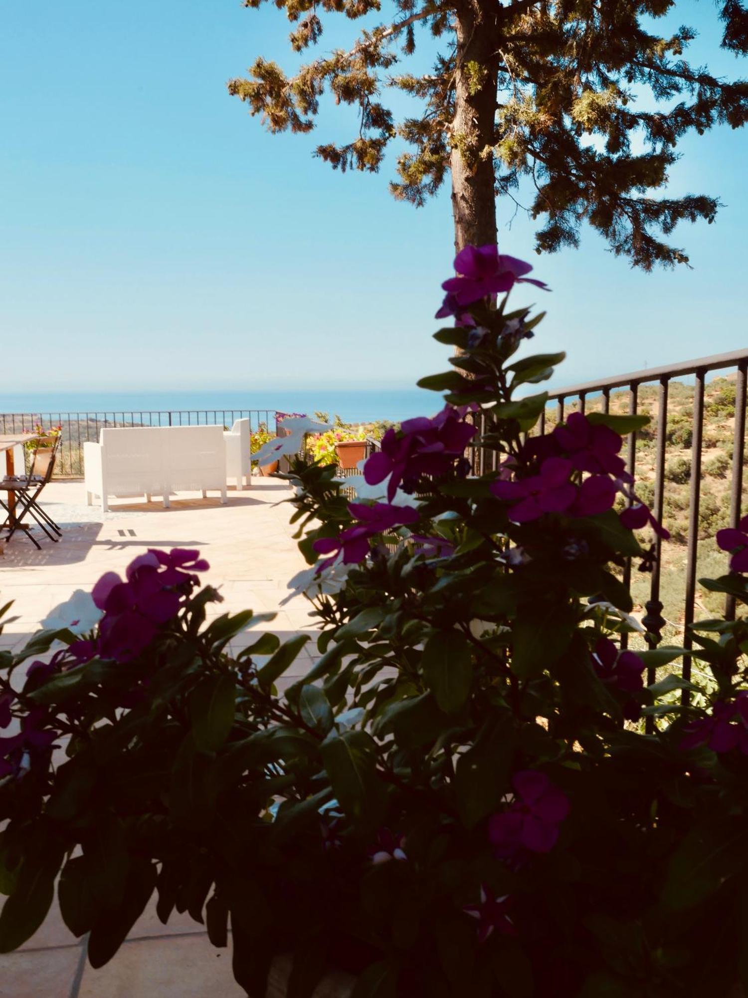 Villa Immersa In Oliveto Vista Mare Sciacca Exterior foto